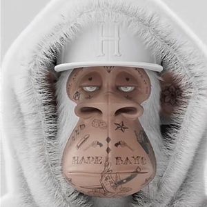 Meet your Posher, Rocky